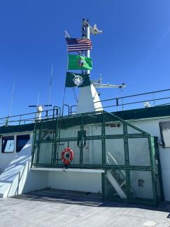 Ship deck with flags, including the American flag, a green flag and a blue flag, with a life preserver on the railing.
