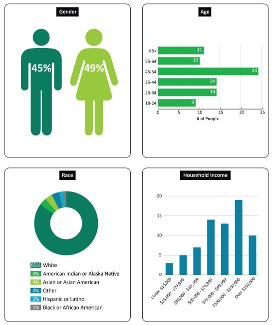 US 395 Division Wye to Wandermere demographic data which includes gender, race, age and income demographic data in the image.