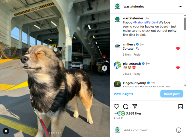 April 11 Washington State Ferries post on Instagram of a dog on a sunny ferry deck with closed eyes with text: "Happy #NationalPetDay! We love seeing your fur babies on board - just make sure to check out our pet policy first (link in bio)."
