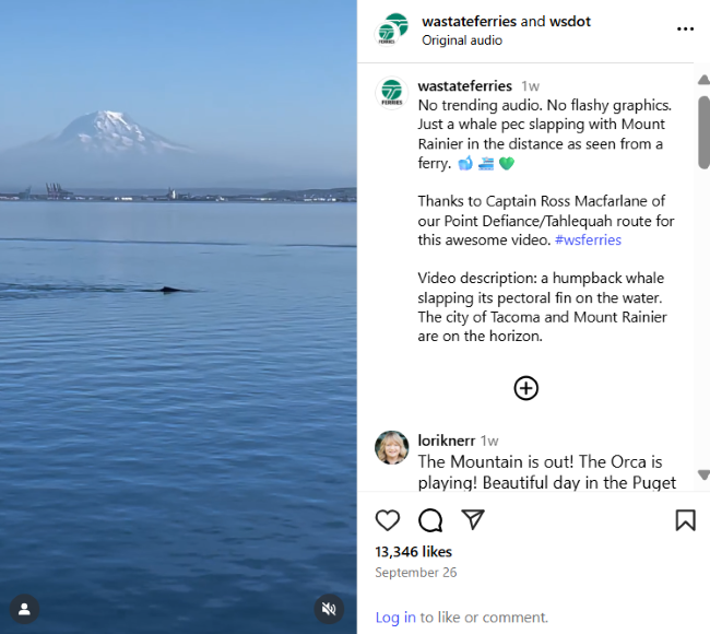 Sept. 26 Instagram post with text "No trending audio. No flashy graphics. Just a whale pec slapping with Mount Rainier in the distance as seen from a ferry. 🐋🚢 💚 Thanks to Captain Ross Macfarlane of our Point Defiance/Tahlequah route for this awesome video. #wsferries Video description: a humpback whale slapping its pectoral fin on the water. The city of Tacoma and Mount Rainier are on the horizon." and video screenshot of a whale in the water with Mount Rainier in the background.